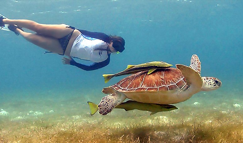 Cancún tour experience